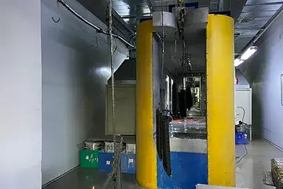 Línea de pintura automatizada